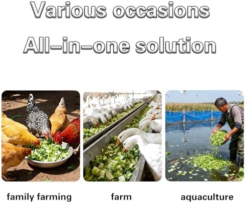 Commercial Electric Vegetable Chopper, Stainless Steel, 50-120 KG/H