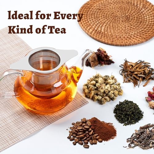 FrutPunch 2 Pack Loose Leaf Tea Infuser with Lid, Ultra-Fine Mesh