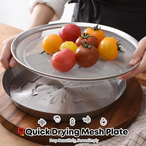 WAGENSTEIGER Stainless Steel Mesh Tray Set with Drip Pan, Air Fryer