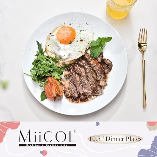 Miicol Ceramic Dinner Plates Set of 4, Large Salad Plate 10.5 inch
