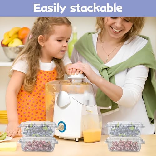 100PCS Berry Containers with Lids, Clear Plastic Vented Berry
