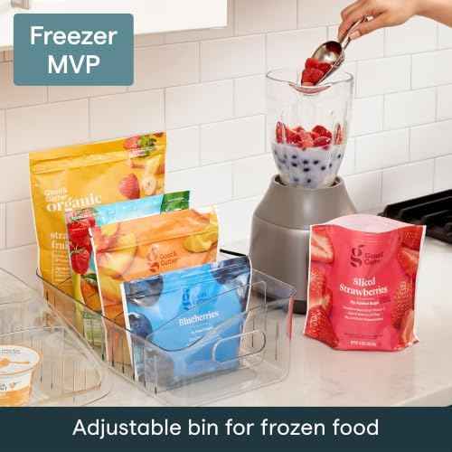 YouCopia FreezeUp Freezer Bin, 12"