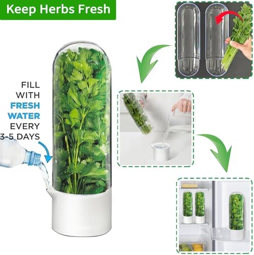 Herb Saver for Refrigerator, Cilantro Container