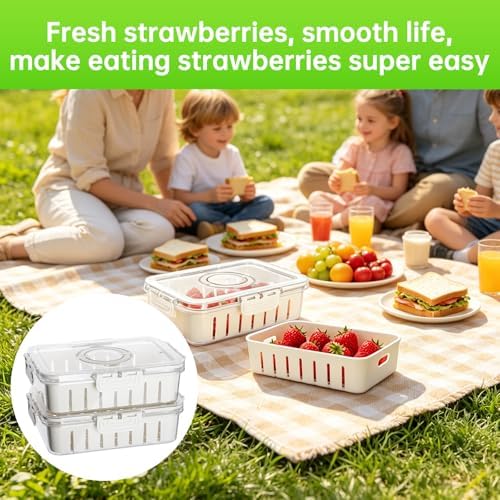 2 Pack Strawberry Containers with Handle and Mesh Screen