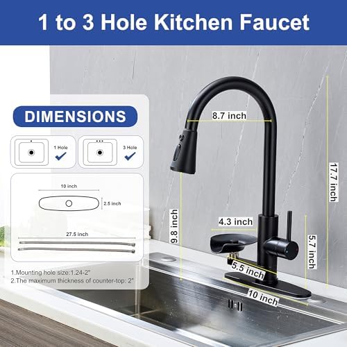 Matte Black Single Handle Kitchen Faucet with Cup Washer