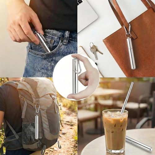 Collapsible Metal Straws, Travel Drinking Straws with Case, Keychain