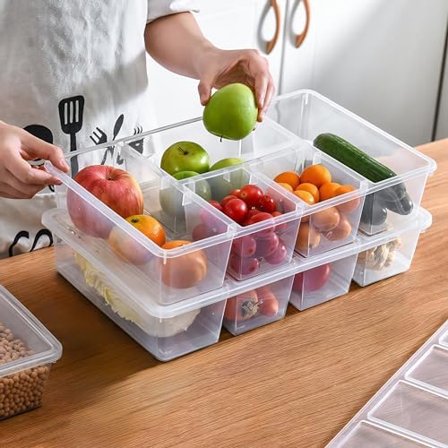 MANO Divided Veggie Tray with Lid, 2 Pack, 5 Compartments
