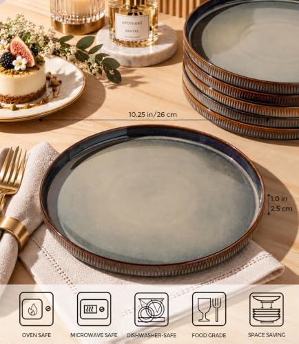 theterra Ceramic Dinner Plates Set of 2, 10.25 Inch Dinnerware Plates