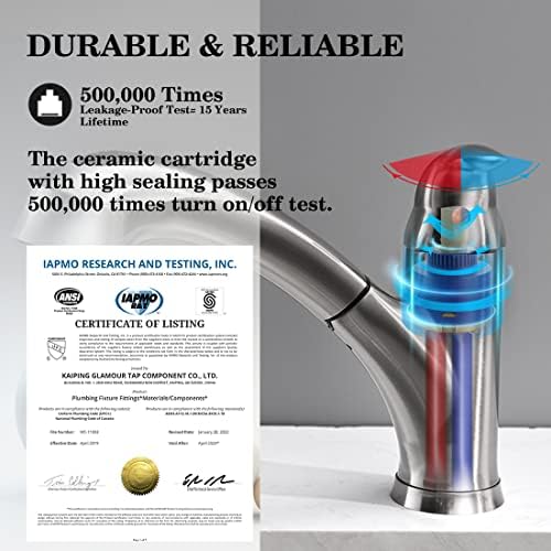 Brushed Nickel Kitchen Faucet with Pull Out Sprayer
