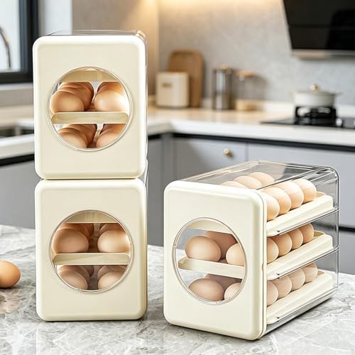 Egg Dispenser for Refrigerator – Clear Sloped Track Design Sorter Box
