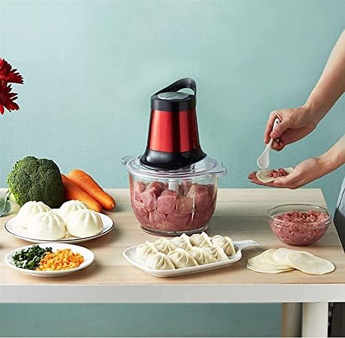 Mini Electric Food Chopper, 2-Speed, 2.5L Glass Bowl