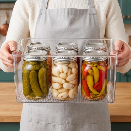 Hudgan 8 Clear Plastic Storage Bins for Pantry