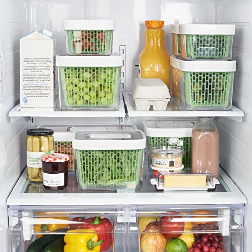 OXO Good Grips GreenSaver Produce Keeper, Large