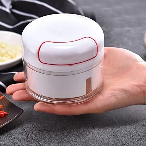 Mini Garlic Chopper, Garlic Mincer Manual Hand Food Chopper Manual