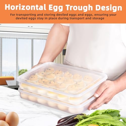 Deviled Egg Containers with Lid, Set of 2, 48 Eggs