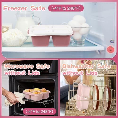 Honeydak 5 Pack 4-Compartment Lunch Box, Rose Red Ombre