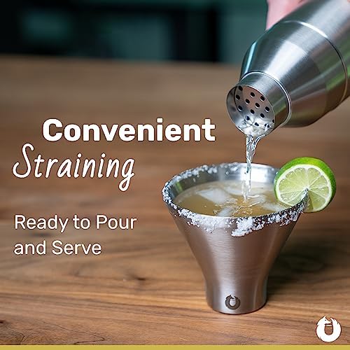 SNOWFOX Premium Vacuum Insulated Stainless Steel Cocktail Shaker, Home