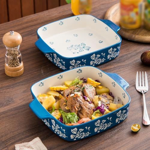 Wisenvoy 9x9 Baking Pan & Casserole Dish Set - 2-Piece Ceramic Square