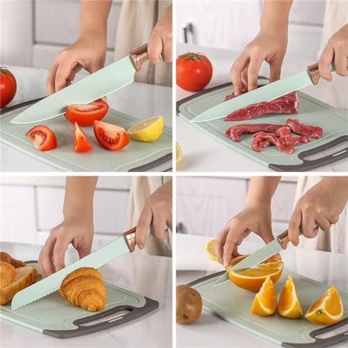 19 Pieces Kitchen Cooking Utensils and Knife Set with Holder Block