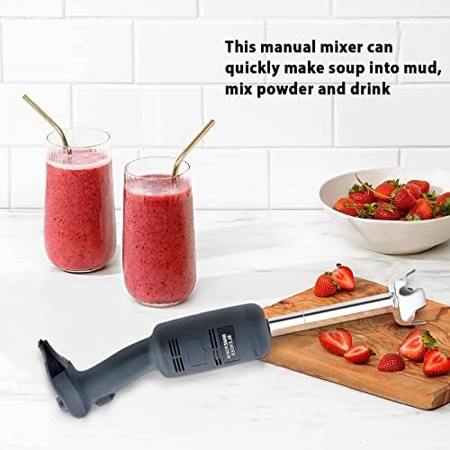 libai 18 in Immersion Blender, 500W