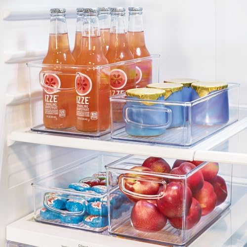 InterDesign iDesign Plastic Fridge and Freezer Organizer Bin with