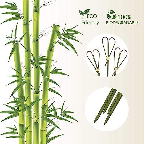 100 Pcs Bamboo Cocktail Picks Toothpicks for Appetizers, 4.7 Inch Cyan