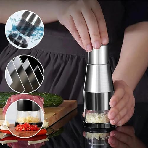 Silver Stainless Steel Garlic Press and Masher