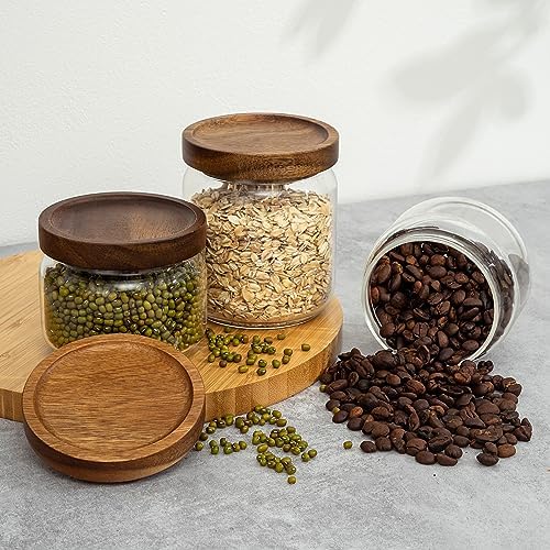 2PCS Small Glass Storage Jars with Airtight Lids, 17 fl oz (500ml)