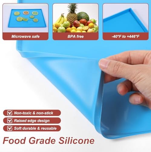 Silicone Dehydrator Sheets, 10 Piece Set