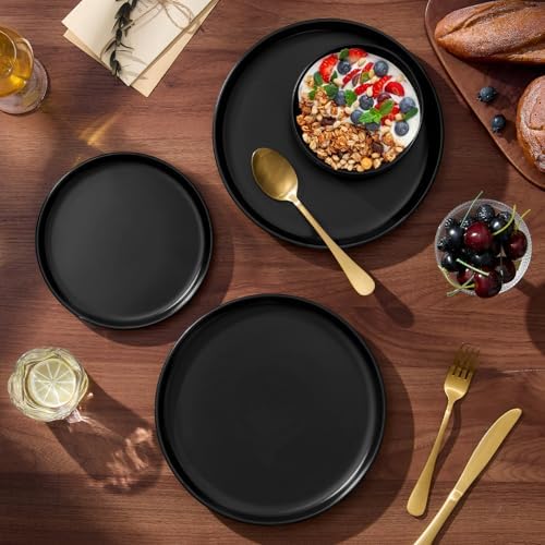 E-far Plates and Bowls Sets, 12Pcs Stoneware Ceramic Dinnerware Dishes
