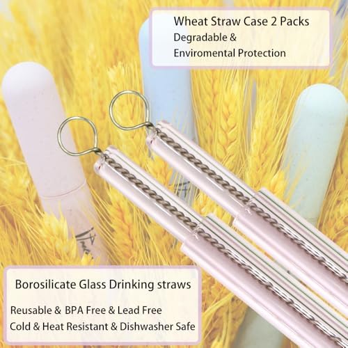 2 Packs Reusable Glass Drinking Boba Straws with Portable Case