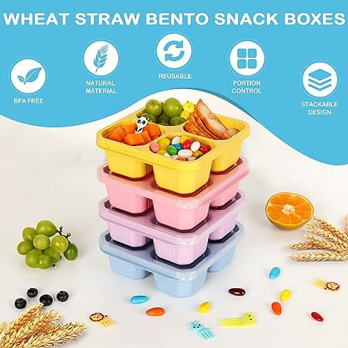 6 Pack Bento Box, 4 Compartment Lunchable Snack Containers with Lids