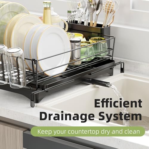 Ekisemio Expandable Dish Drying Rack, Black