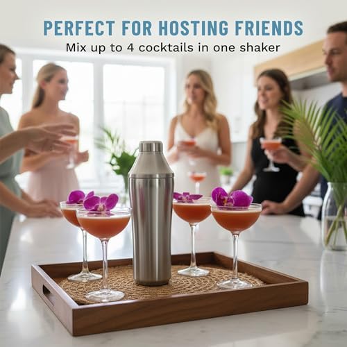 Hybrid Cocktail Shaker, Vacuum Insulated Stainless Steel, 28 oz