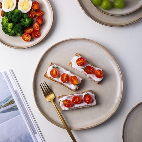 AmorArc Ceramic Dinnerware Sets for 12,36Pcs Plates and Bowls Sets Dishes