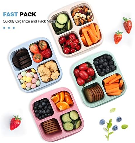 4 Pack Snack Containers, 4 Compartments Bento Snack Box, Reusable Meal