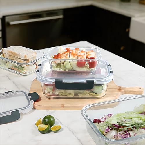 BAYZZ 10 Pack Glass Meal Prep Containers with Lids