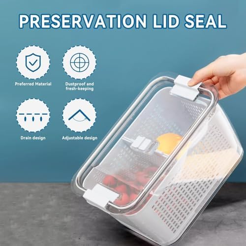 Cyrank Lettuce Keeper for Fridge, Produce Saver Container with Drain