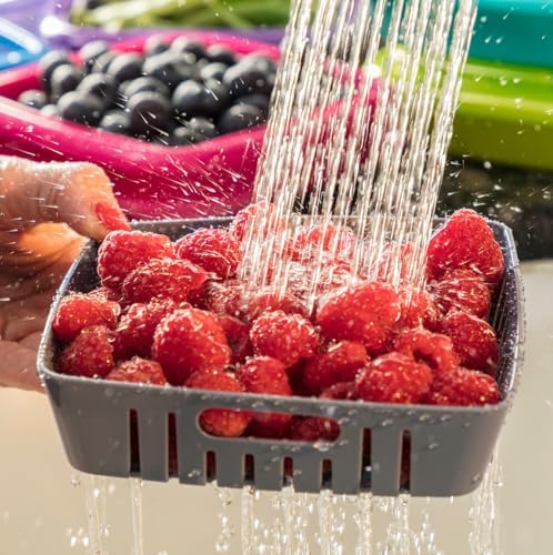 Hutzler 3-in-1 Bitty Box Berry Keeper, 9oz / 1 Cup