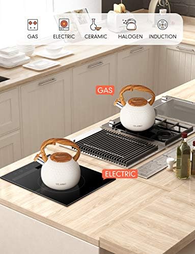 BELANKO 2.7 Quart Stainless Steel Tea Kettle, Milk White