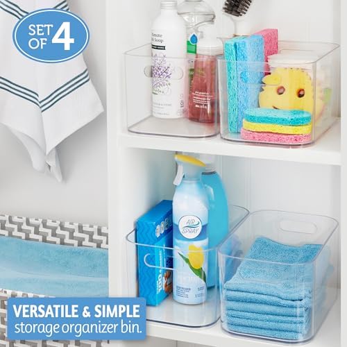 STORi Bliss 10" x 6" Clear Pantry Organizer Bins, Set of 4