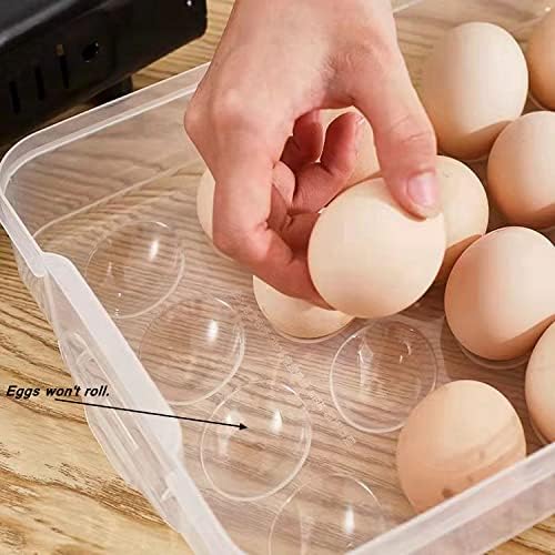 Deviled Egg Container with Lid, Portable Carrier Tray