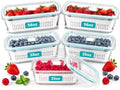 Glass Berry Containers for Fridge, 5 Pack