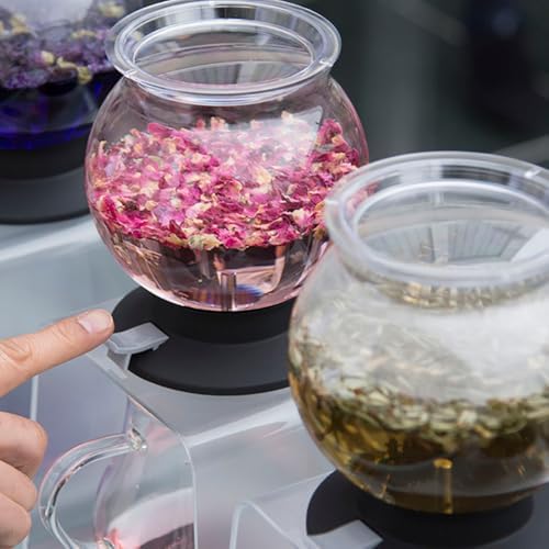 Hario Largo Glass Tea Dripper Stand Set, 800ml