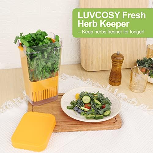LUVCOSY Fresh Herb Keeper for Refrigerator, Clear BPA-Free