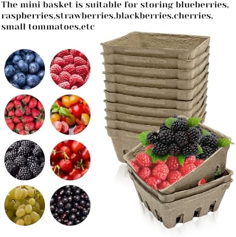 Rainmae 50 Pack Natural Pulp Fiber Berry Basket, Molded Berry Basket
