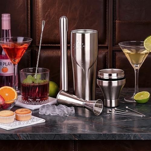 Lexenic Portable Double Wall Insulated Cocktail Shaker Set