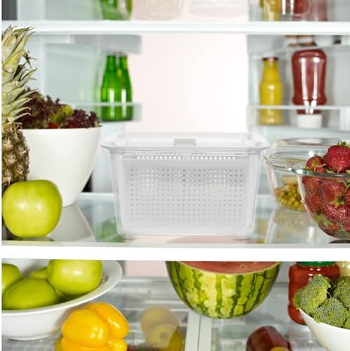Food Storage Container with Drain Design 2 Compartment