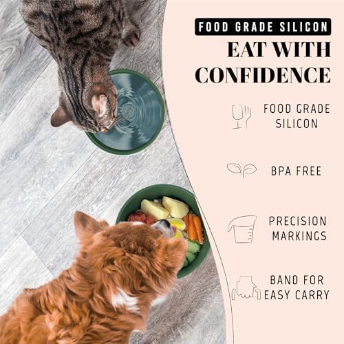 AVERYDAY 30 Oz Travel Dog Bowls with Lids, 2-in-1 Portable Pet Bowls