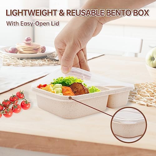 4 Pack 2-Compartment Divided bento Box FOR Kids/Toddle/Adults
